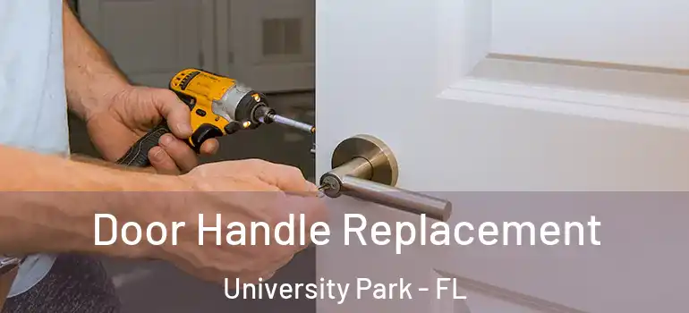  Door Handle Replacement University Park - FL