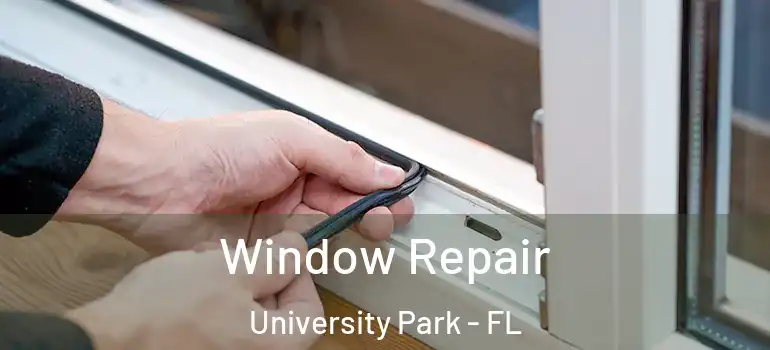  Window Repair University Park - FL
